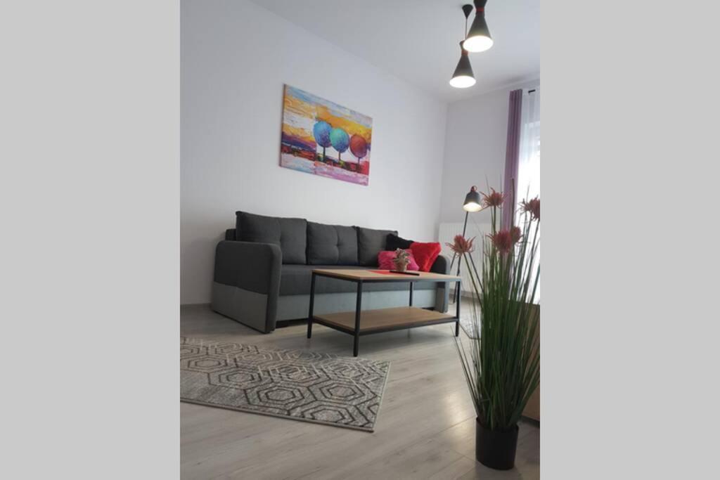 Apartament Nowoczesny Komfortowy Kustronia Z Garazem Balkonem Wanna ビエルスコ・ビアバ エクステリア 写真