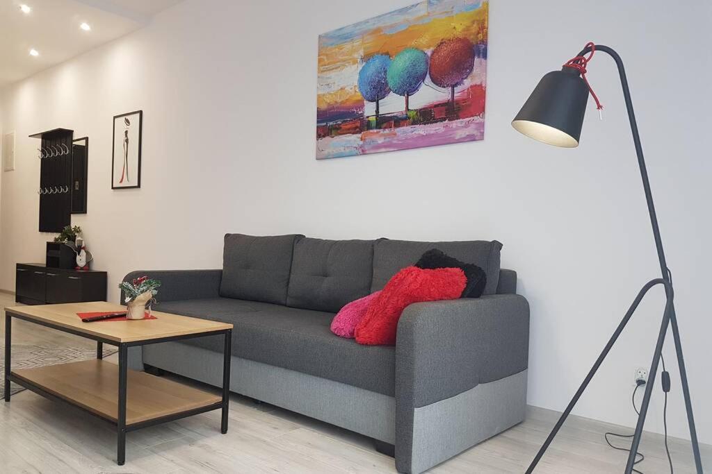Apartament Nowoczesny Komfortowy Kustronia Z Garazem Balkonem Wanna ビエルスコ・ビアバ エクステリア 写真